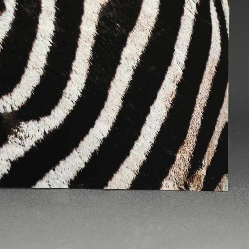 “Grant's Zebra 2” Contemporary Photograph ー堀谷 昇市