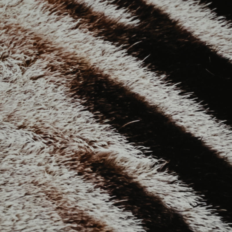 “Grant's Zebra 2” Contemporary Photograph ー堀谷 昇市
