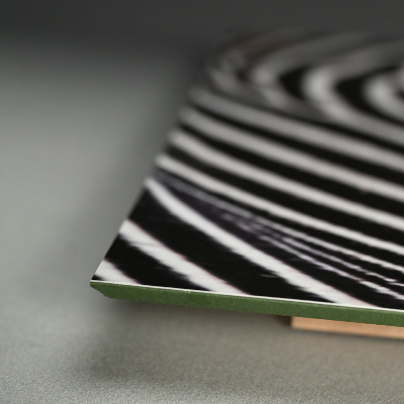 “Grant's Zebra 2” Contemporary Photograph ー堀谷 昇市