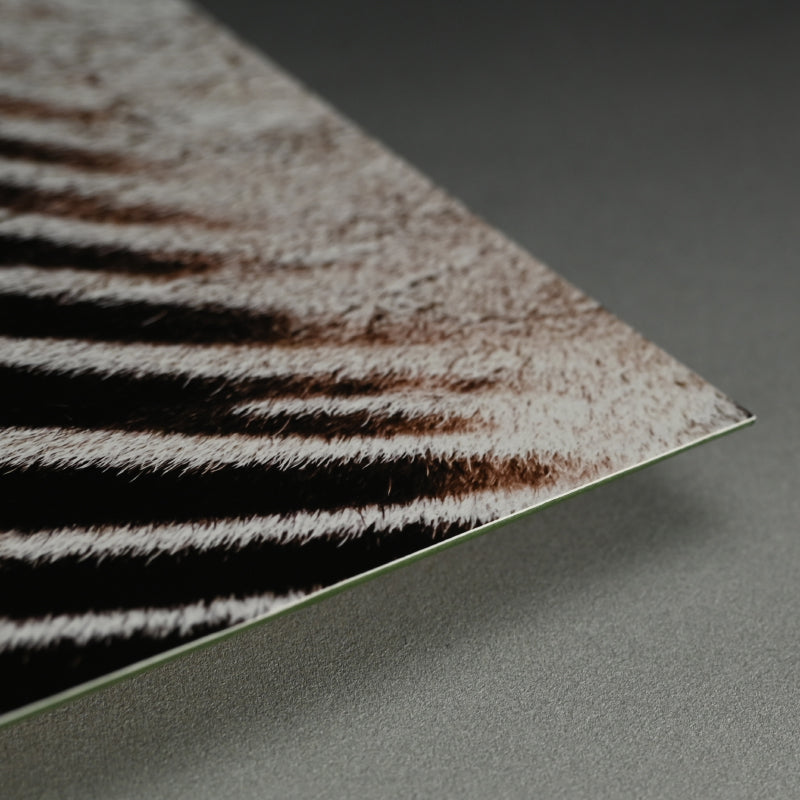 “Grant's Zebra 2” Contemporary Photograph ー堀谷 昇市