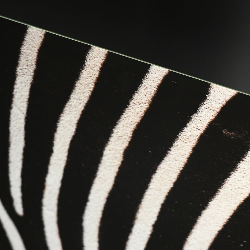 “Grant's Zebra 1” Photograph ー堀谷 昇市