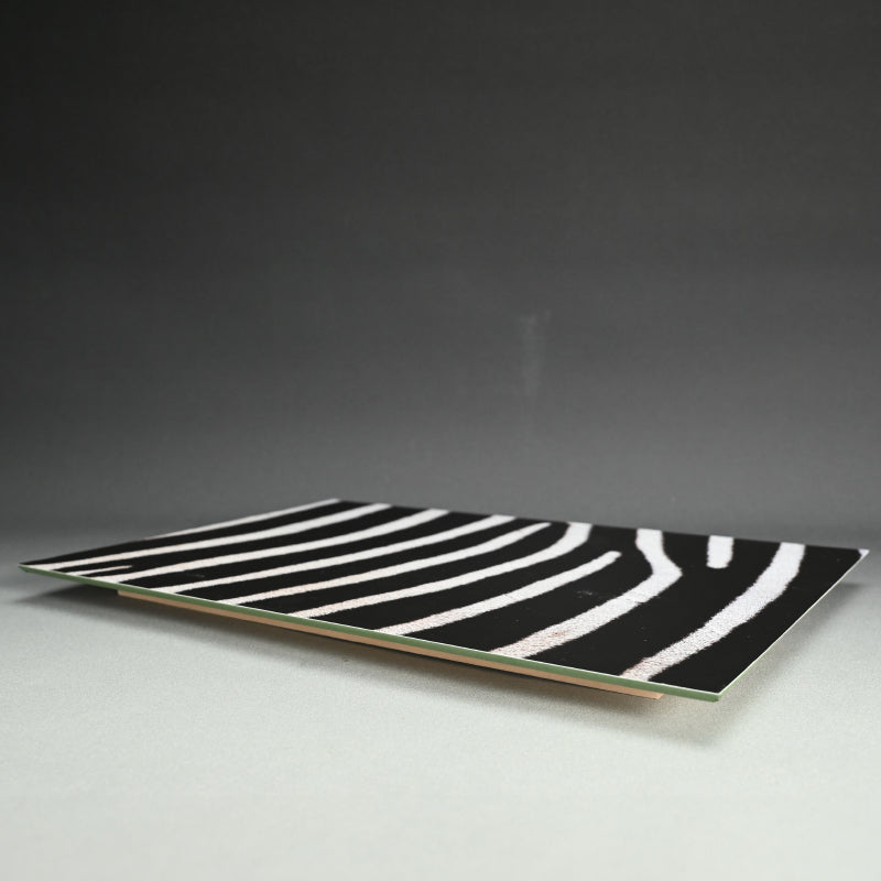 “Grant's Zebra 1” Photograph ー堀谷 昇市