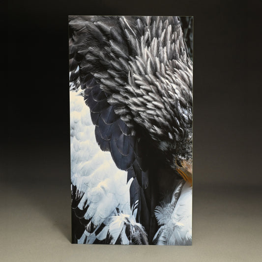 “Steller's Sea Eagle 1” Limited Edition Photograph ー堀谷 昇市
