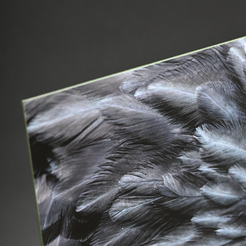 “Steller's Sea Eagle 1” Limited Edition Photograph ー堀谷 昇市