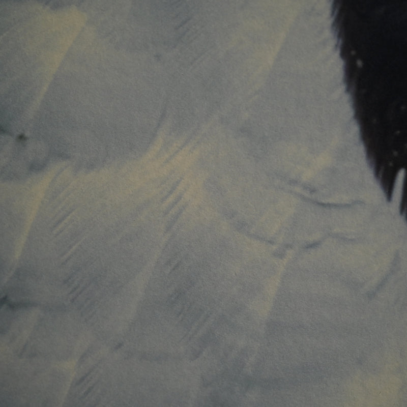 “Steller's Sea Eagle 1” Limited Edition Photograph ー堀谷 昇市