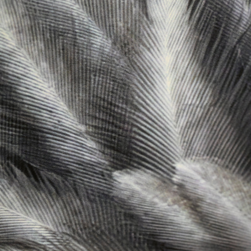 “Steller's Sea Eagle 1” Limited Edition Photograph ー堀谷 昇市