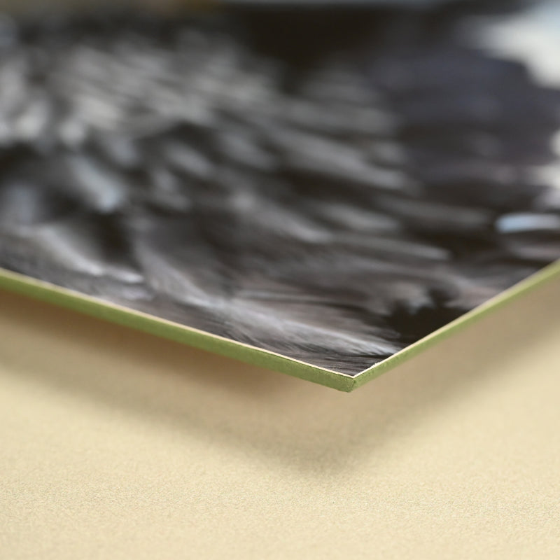 “Steller's Sea Eagle 1” Limited Edition Photograph ー堀谷 昇市