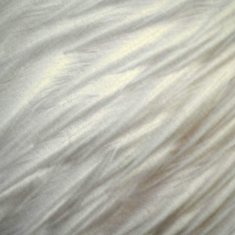 “Great White Pelican 1” Limited Photograph ー堀谷 昇市