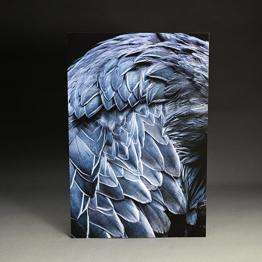“Shoebill Stork 1” Limited Photograph ー堀谷 昇市