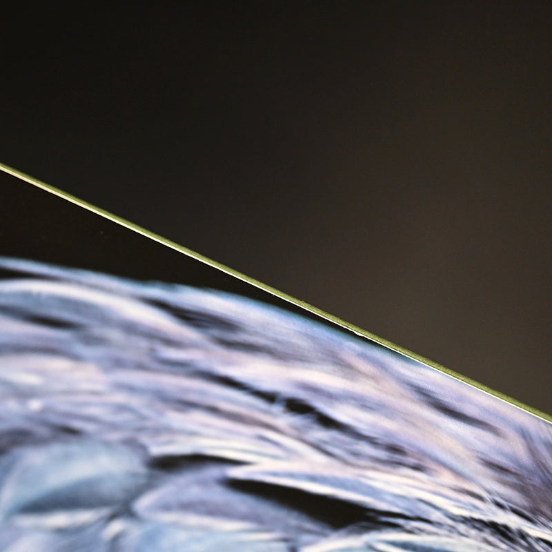 “Shoebill Stork 1” Limited Photograph ー堀谷 昇市