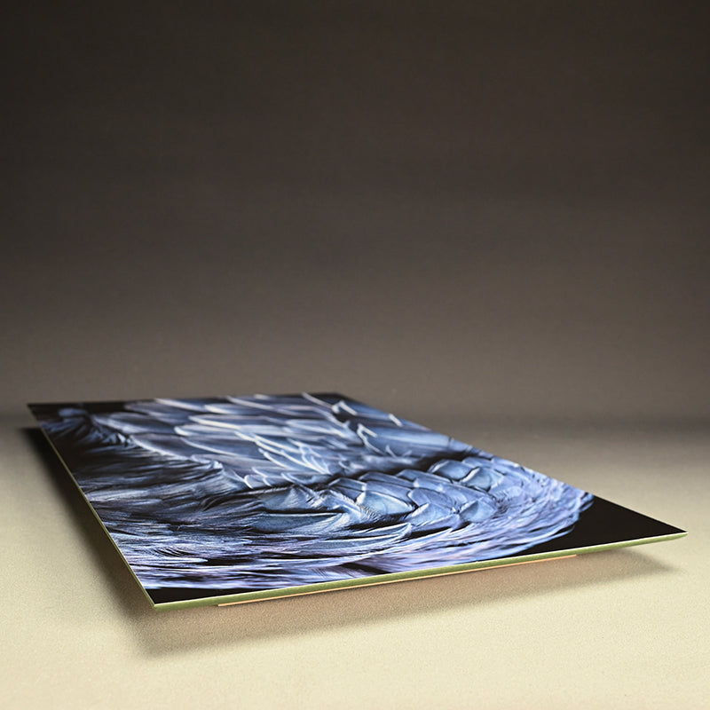“Shoebill Stork 1” Limited Photograph ー堀谷 昇市