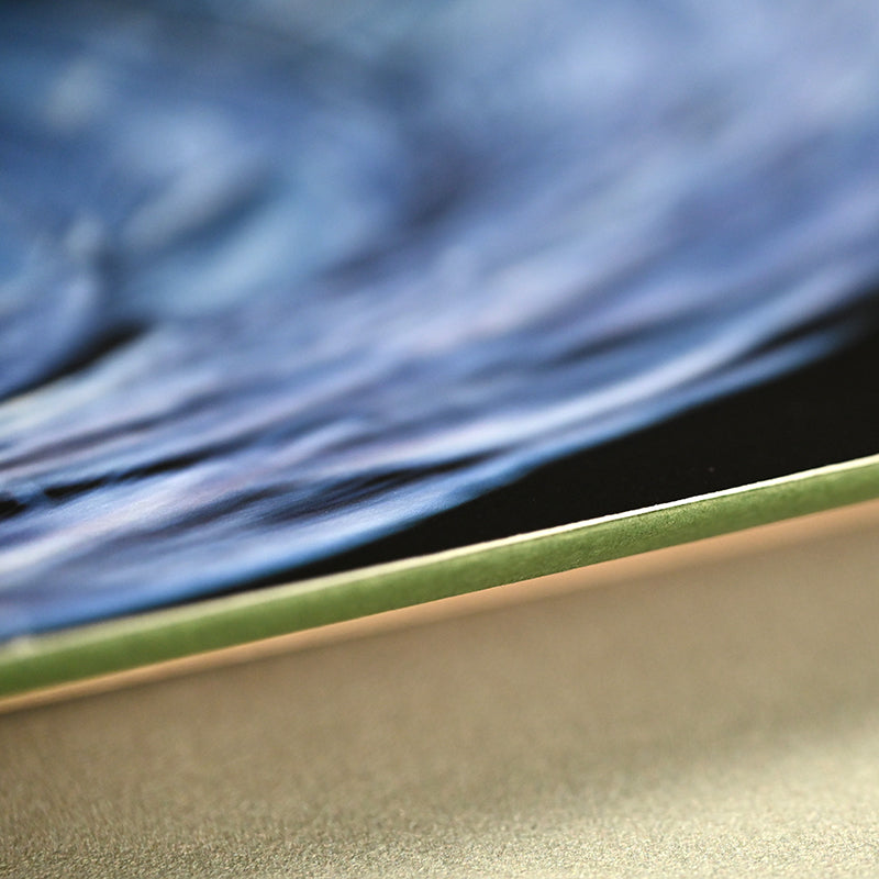 “Shoebill Stork 1” Limited Photograph ー堀谷 昇市
