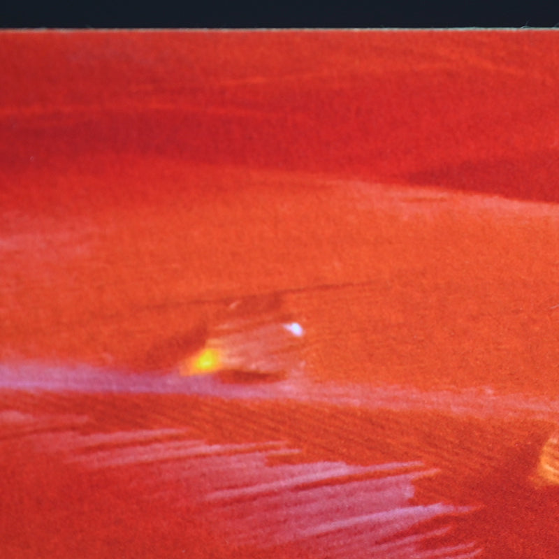 Contemporary Photograph ー堀谷 昇市 “Flamingo 1”