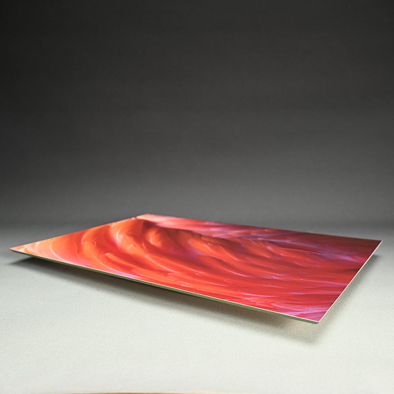 Contemporary Photograph ー堀谷 昇市 “Flamingo 1”