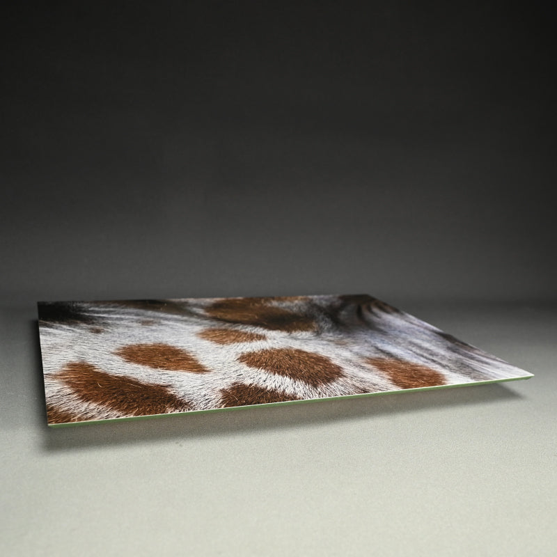 “Reticulated Giraffe 2” ー堀谷 昇市