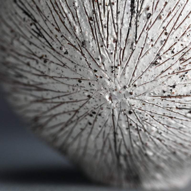 Contemporary Vase ー田上 真也 "穀"