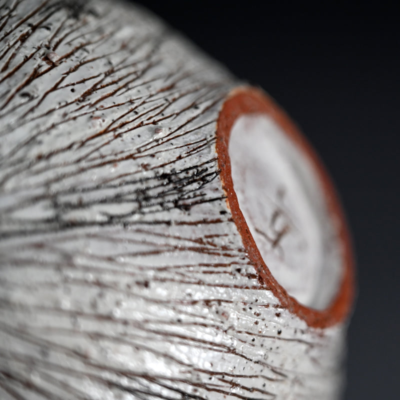 Contemporary Vase ー田上 真也 "穀"