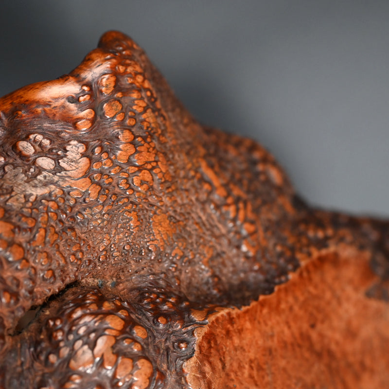 Beautiful Antique Japanese Root-Wood Basket A