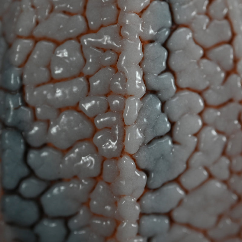 Shino Tokkuri and Ai-iro Shino Guinomi ー酒井 博司 "紅志野徳利", "藍色志野ぐい呑み"