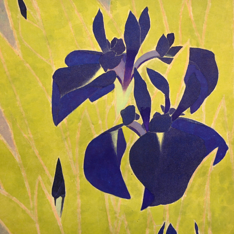 Mid Century Scroll, Iris ー沢 宏靱 “花菖蒲”