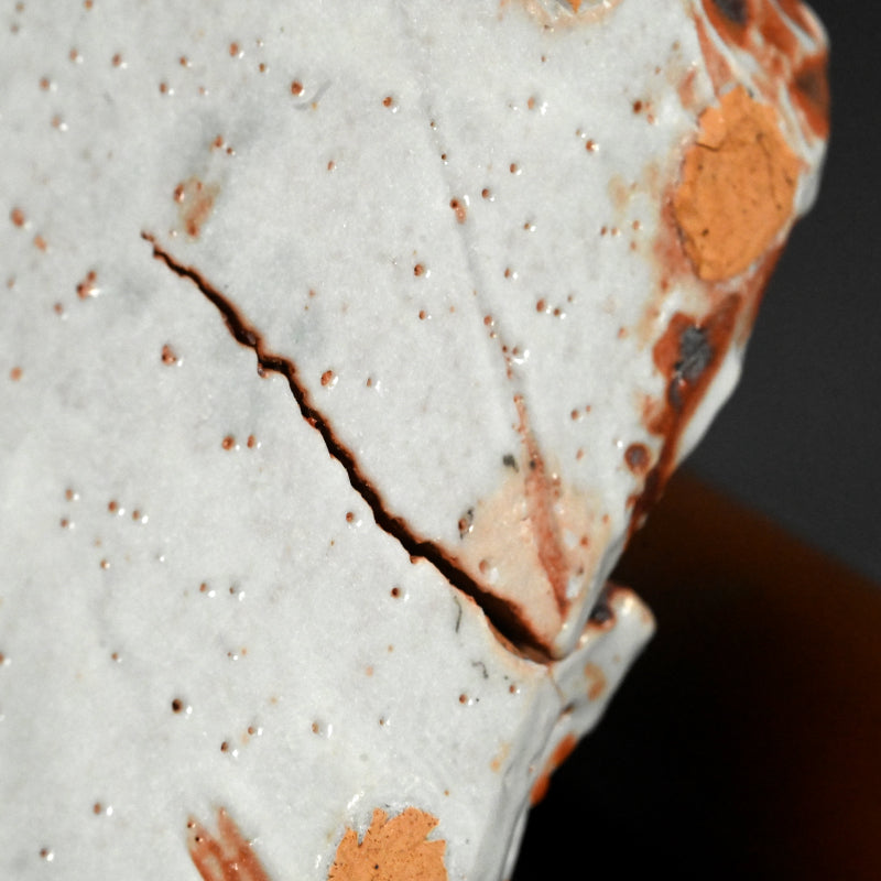 Radical Shino Vase ー鈴木 藏 "志野花器"