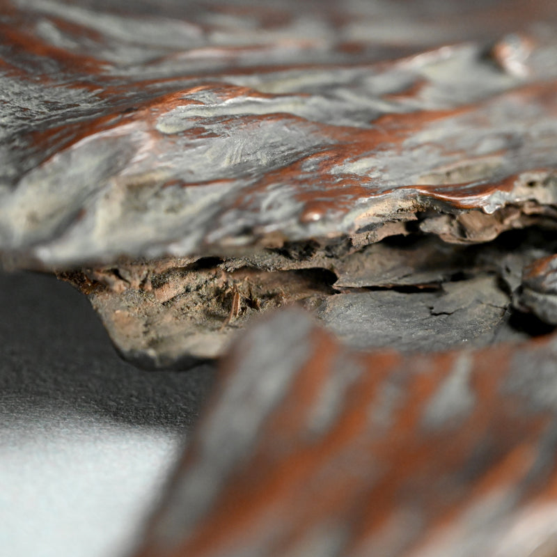 Antique Japanese Dragon Skin Kobon Incense Tray ー龍皮之香盆
