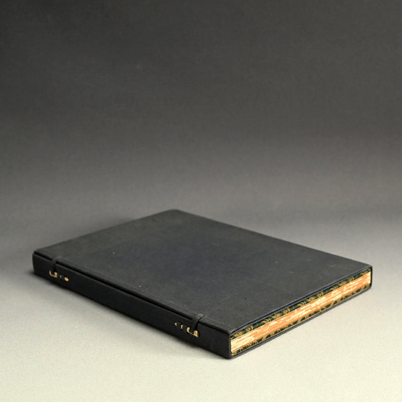 Taisho period Painting Album by Various Artists