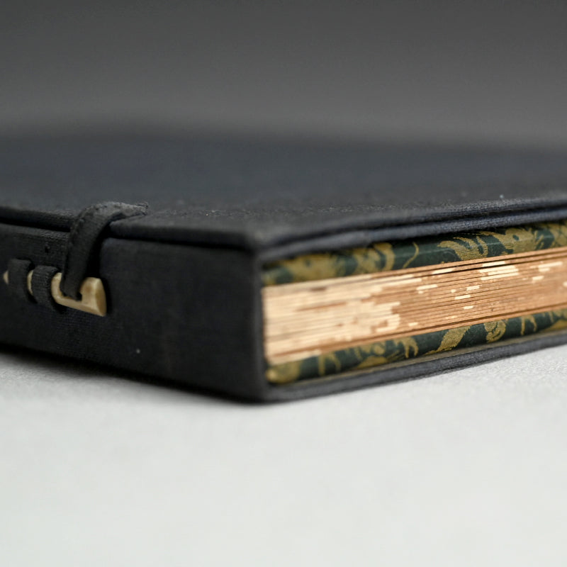 Taisho period Painting Album by Various Artists