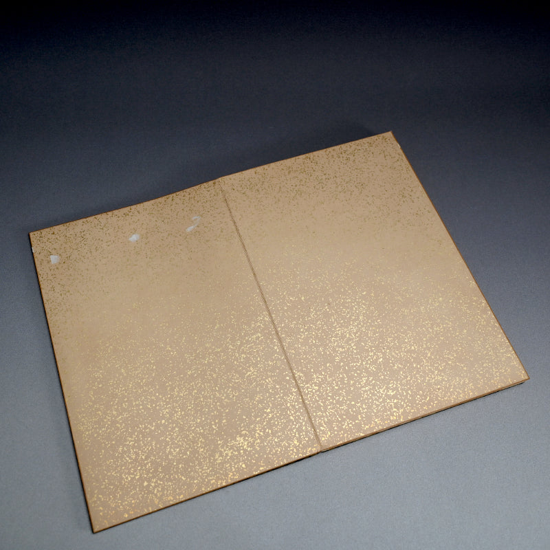 Taisho period Painting Album by Various Artists