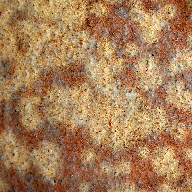 Gohon-style Hagi Plate ー三輪 栄造 “皿”