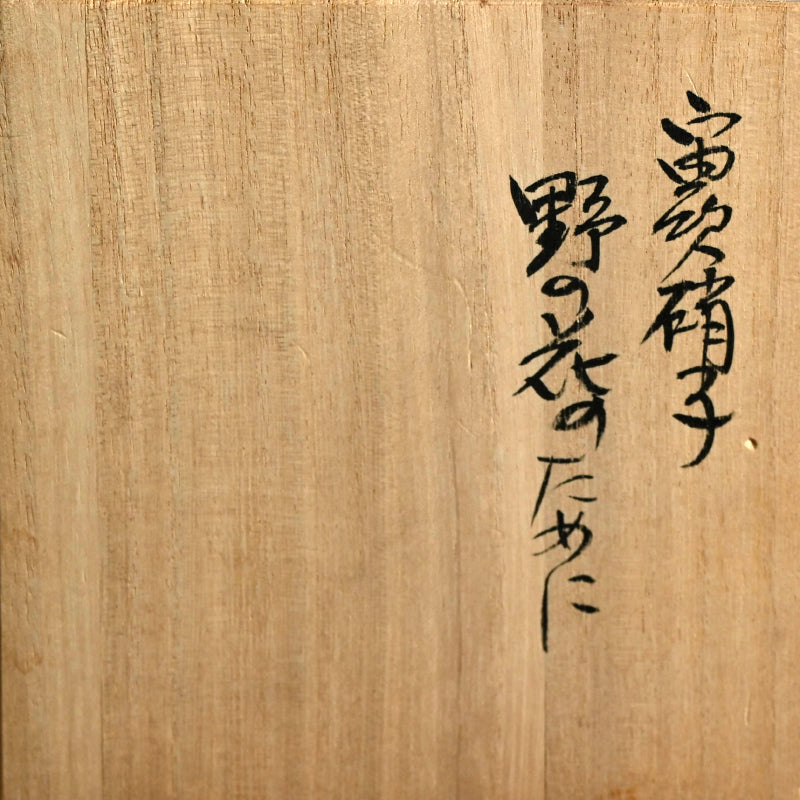 Flowering Glass Vase ー小林 貢 “寅吹硝子 野の花のために”