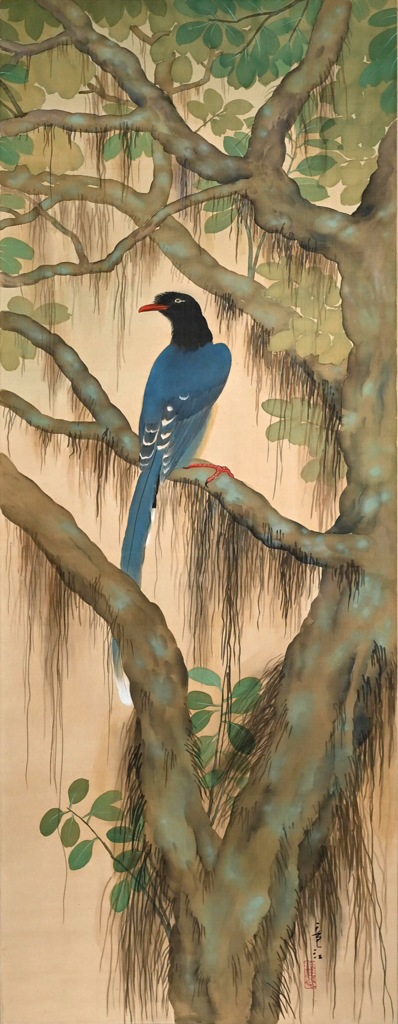 Taisho period Japanese Scroll ー斎藤 竜江 “山ムスメ”