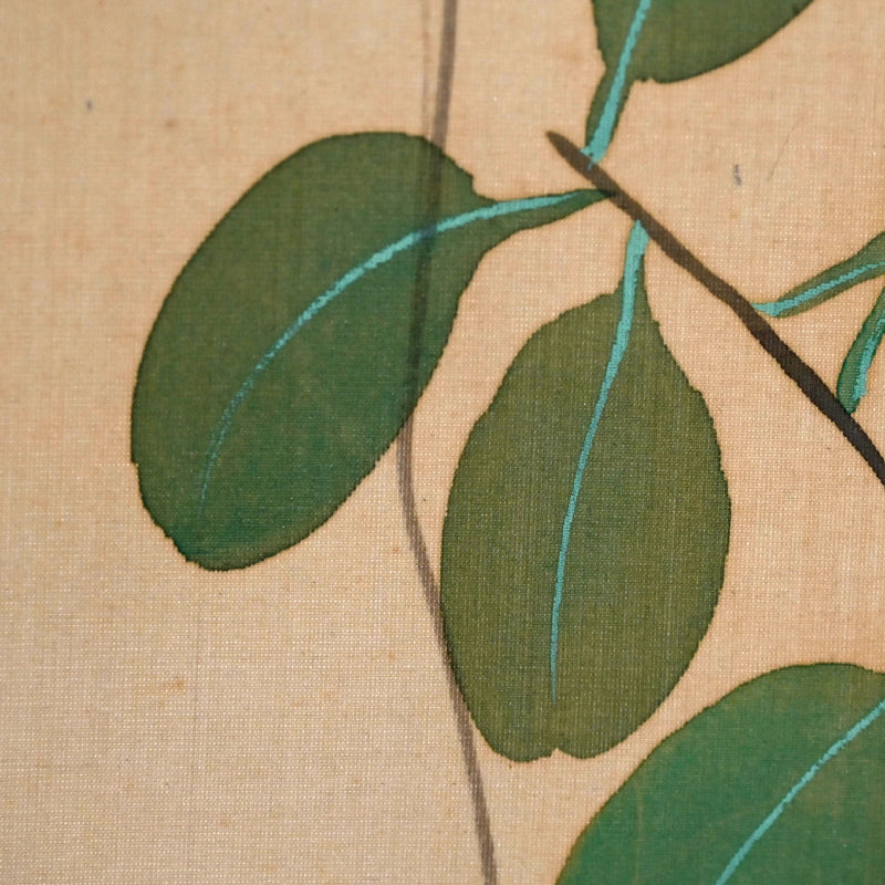 Taisho period Japanese Scroll ー斎藤 竜江 “山ムスメ”
