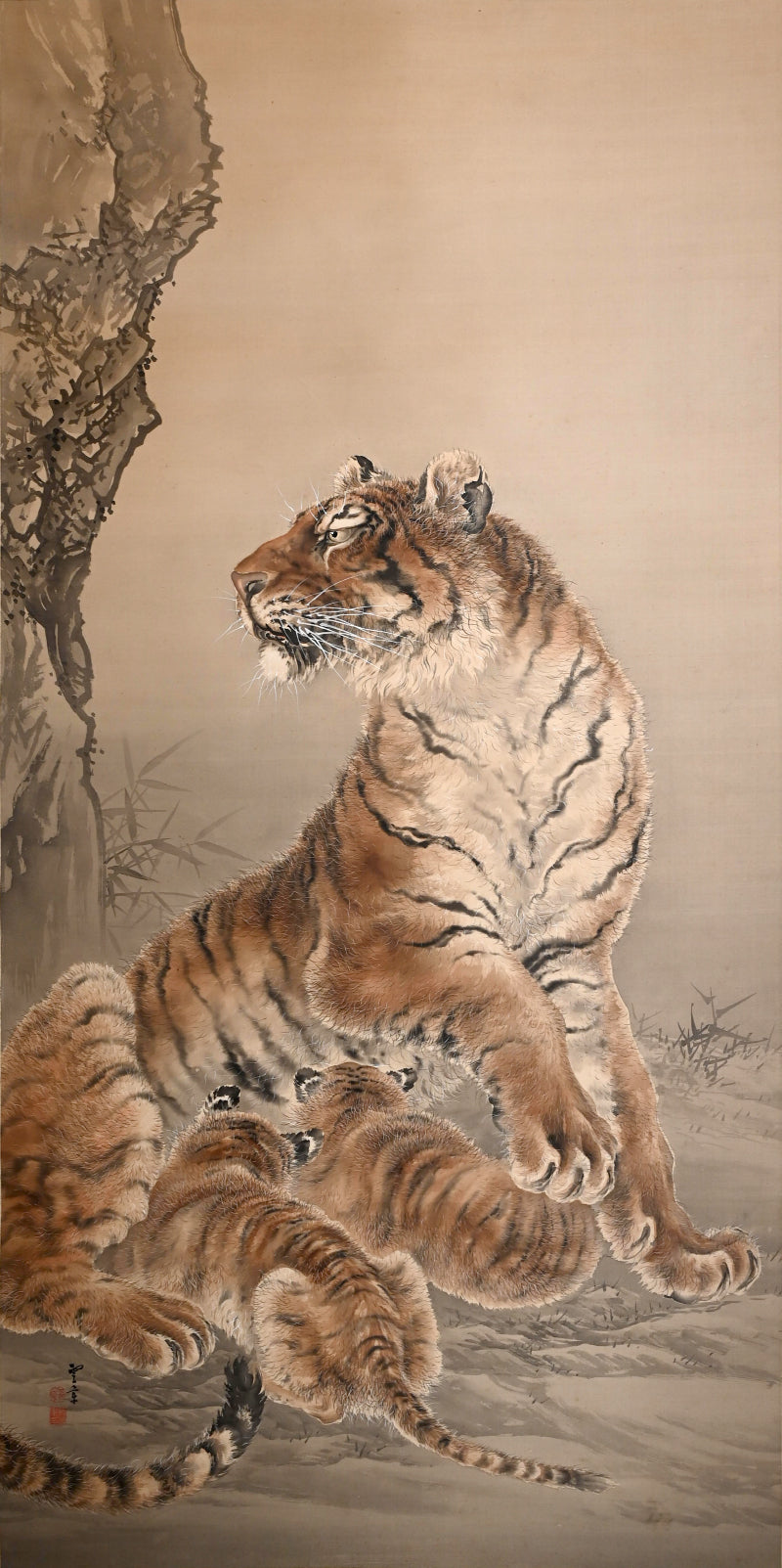 Superb Meiji period Tiger Scroll ー菊池 雲章“虎図”