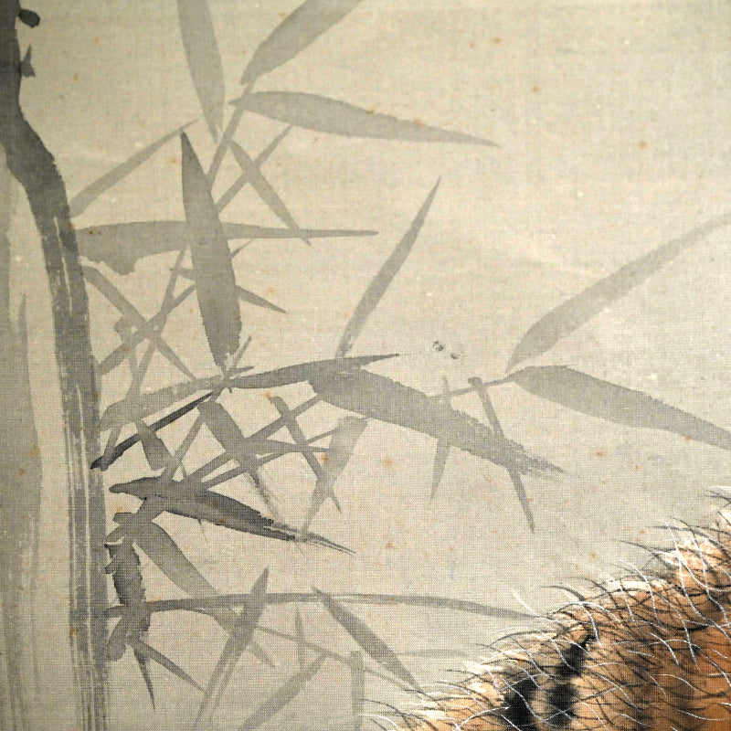 Superb Meiji period Tiger Scroll ー菊池 雲章“虎図”