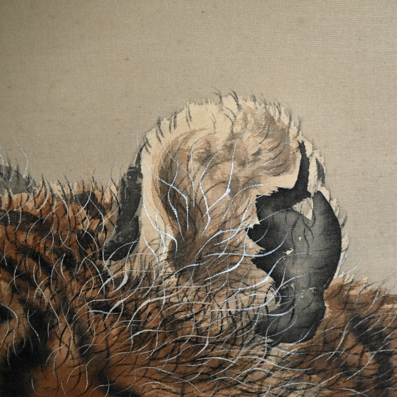 Superb Meiji period Tiger Scroll ー菊池 雲章“虎図”