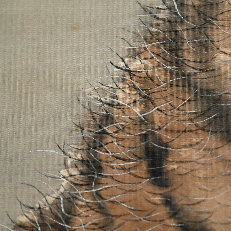Superb Meiji period Tiger Scroll ー菊池 雲章“虎図”