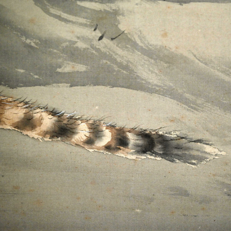 Superb Meiji period Tiger Scroll ー菊池 雲章“虎図”
