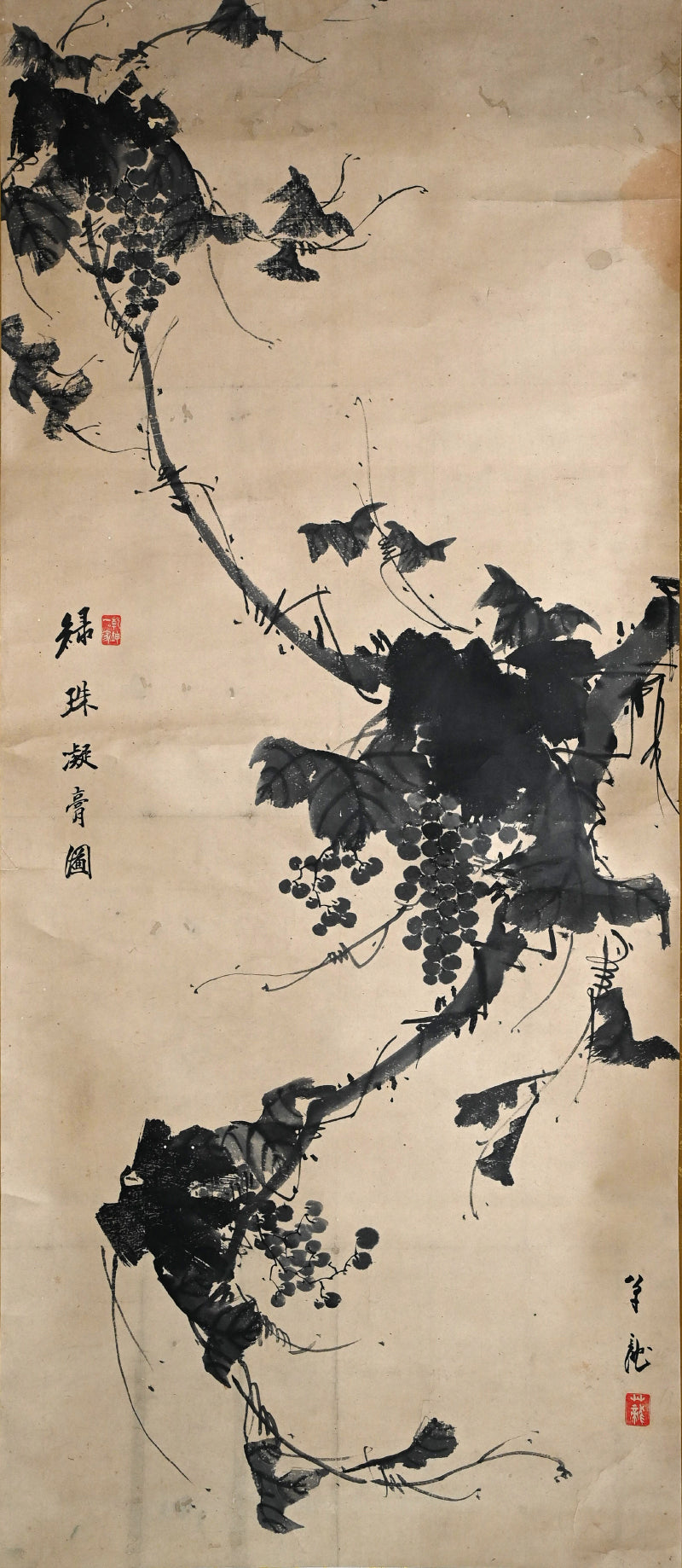 Grapes by Soryu ー草龍, 天龍 道人 “緑珠凝膏圖”