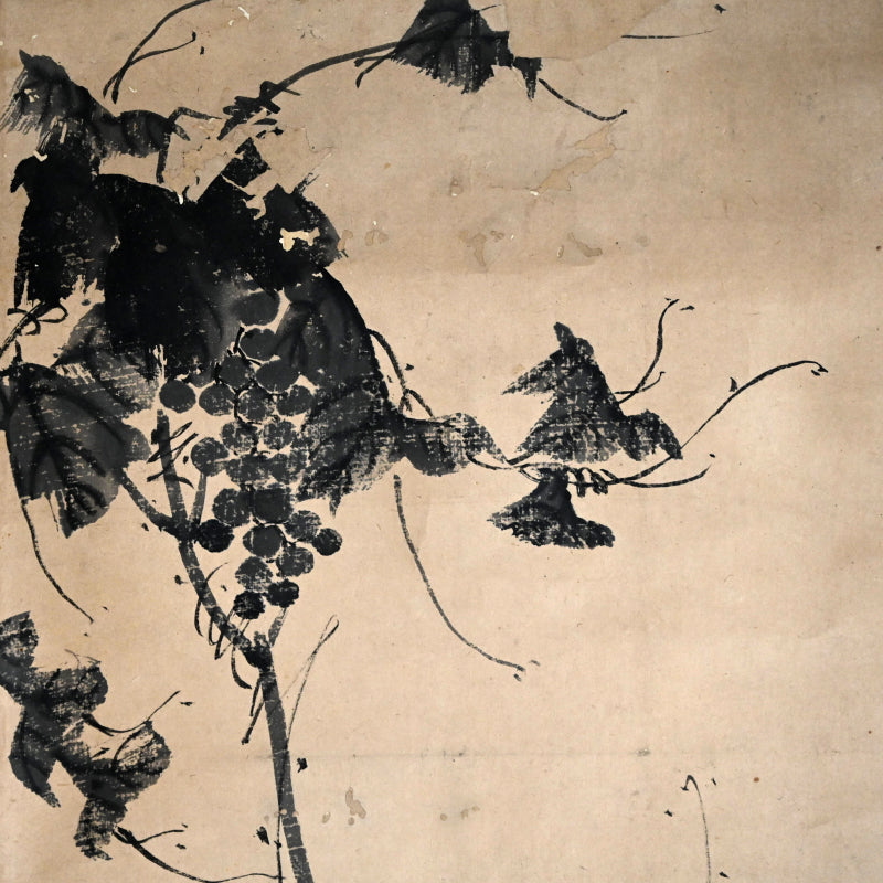 Grapes by Soryu ー草龍, 天龍 道人 “緑珠凝膏圖”