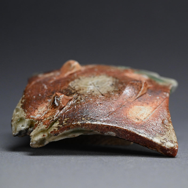 Haiyu Shinogi Small Plate ー新 学 “灰釉 鎬小皿”