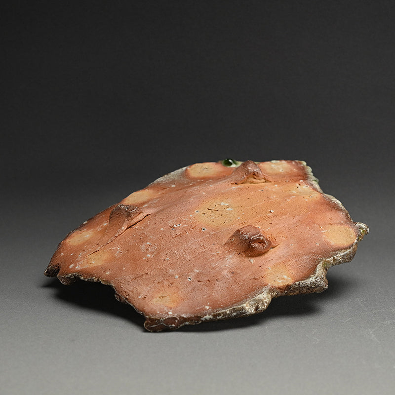 Iga Shinogi Plate ー新 学 “伊賀 鎬皿”
