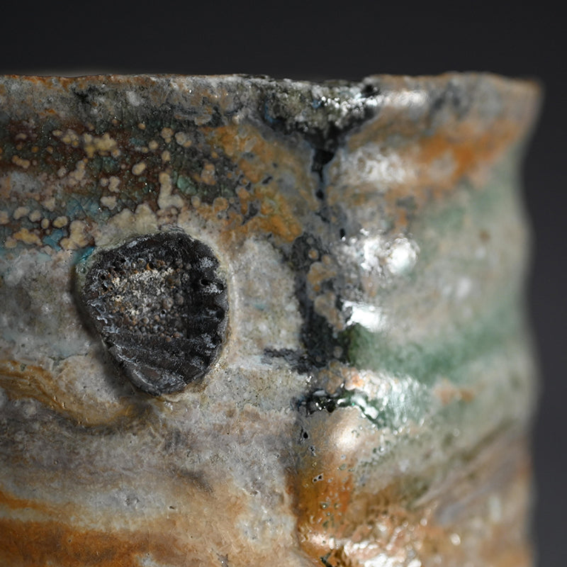 Superb Shigaraki Chawan Tea Bowl ー古谷 和也 “信楽茶盌”