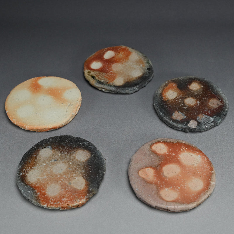 Shigaraki Goshoku set 5 Ash Blown Plates ー古谷 和也 “信楽五色円皿”