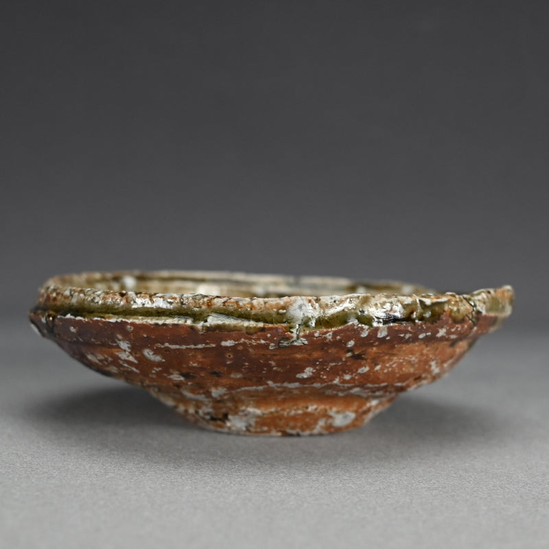 Set of 5 dishes ー村越 琢磨 “灰釉 あわび皿”