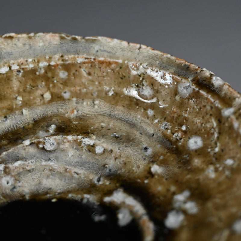 Set of 5 dishes ー村越 琢磨 “灰釉 あわび皿”