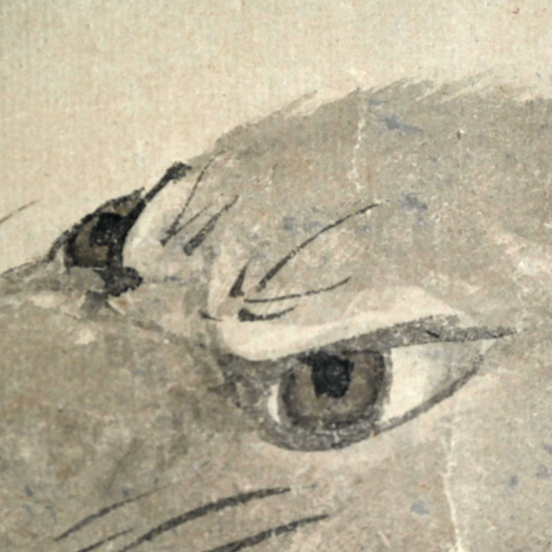 Edo P. Ink Painting of Okami (Wolf) ー月僊