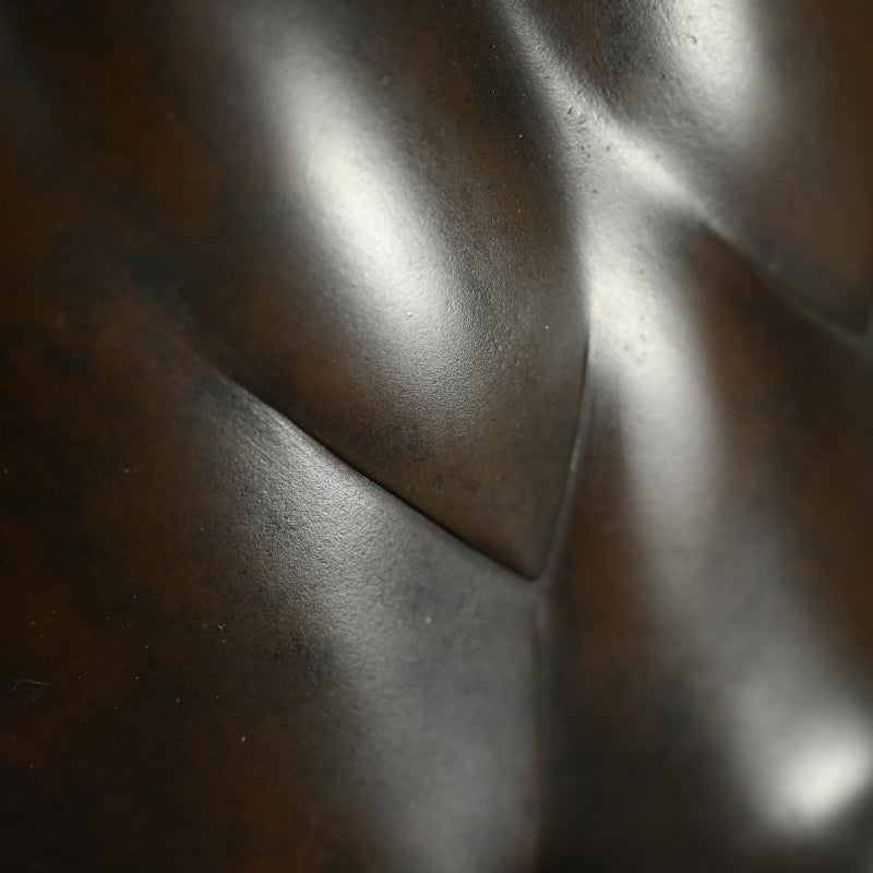 Bronze Duck family by Imperial Artist ー津田 信夫 "愛憐庇護"