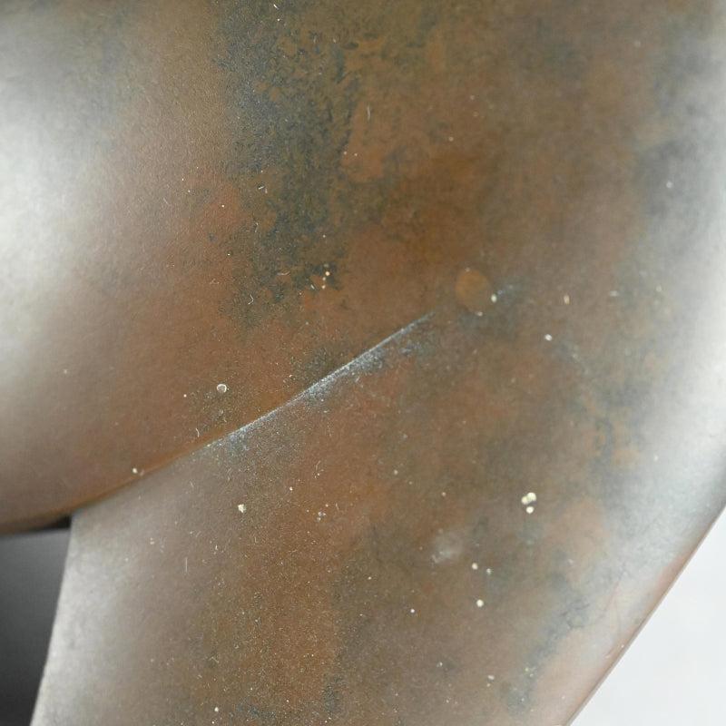 Bronze Duck family by Imperial Artist ー津田 信夫 "愛憐庇護"
