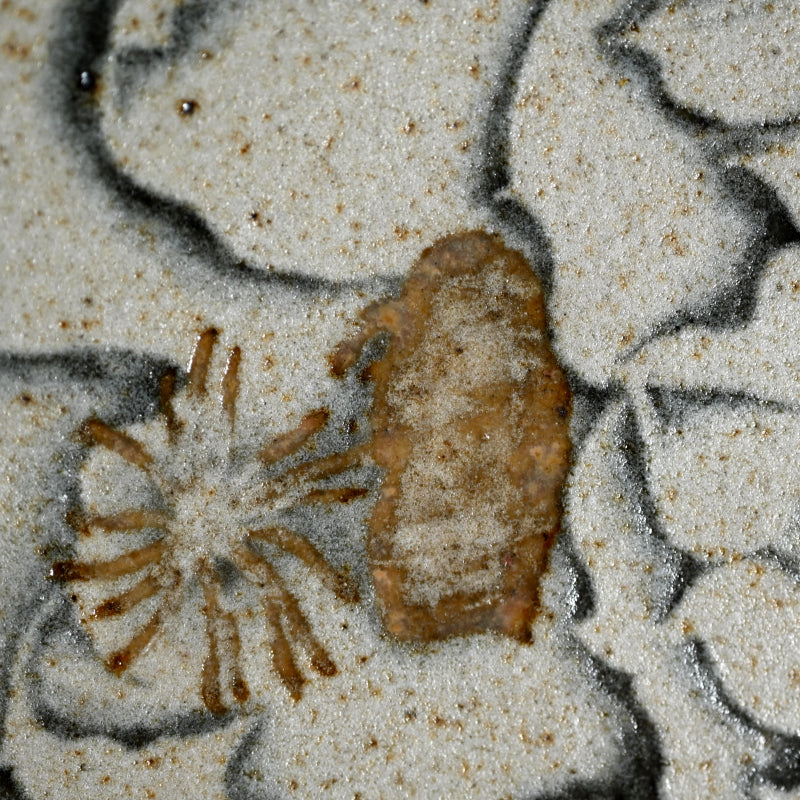 Unusual Early Work by Legendary, Moon-Flower ー和田 守卑良 “月花文鉢”